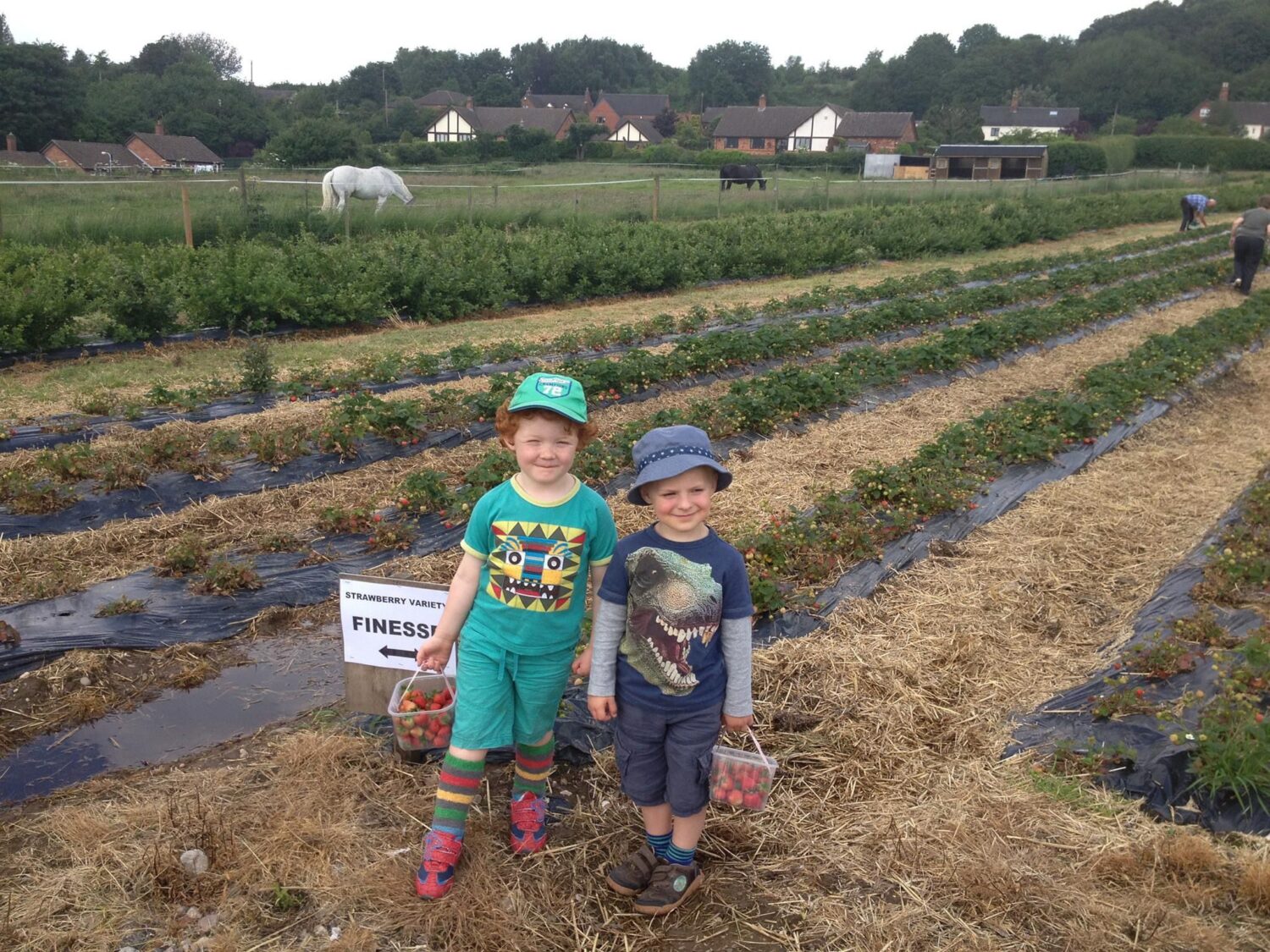 Ground Picking 2